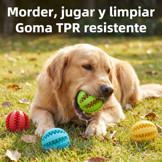 TPR Rubber Chew Toy