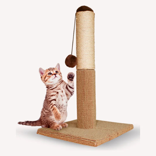 KIT 4 - Gato de interior