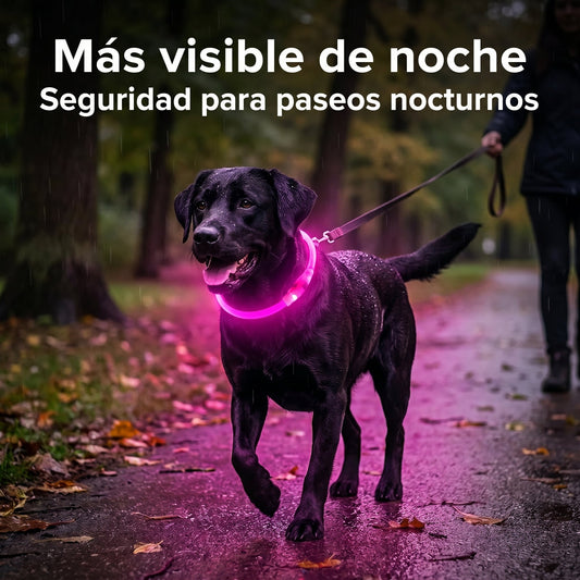 Collar LED Impermeable para Perro