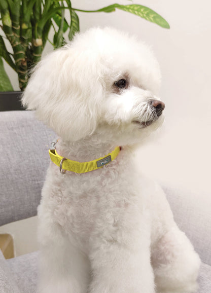Adjustable Collar