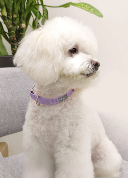 Adjustable Collar