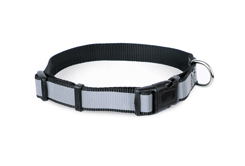 Adjustable Collar with Reflective Stitching