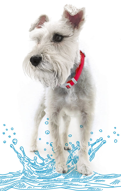 Adjustable Waterproof Collar