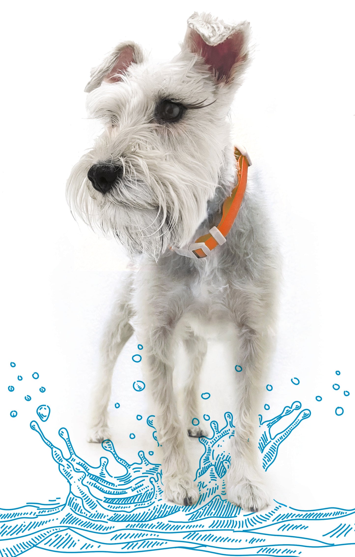 Adjustable Waterproof Collar