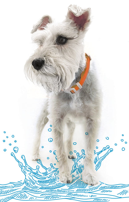 Adjustable Waterproof Collar