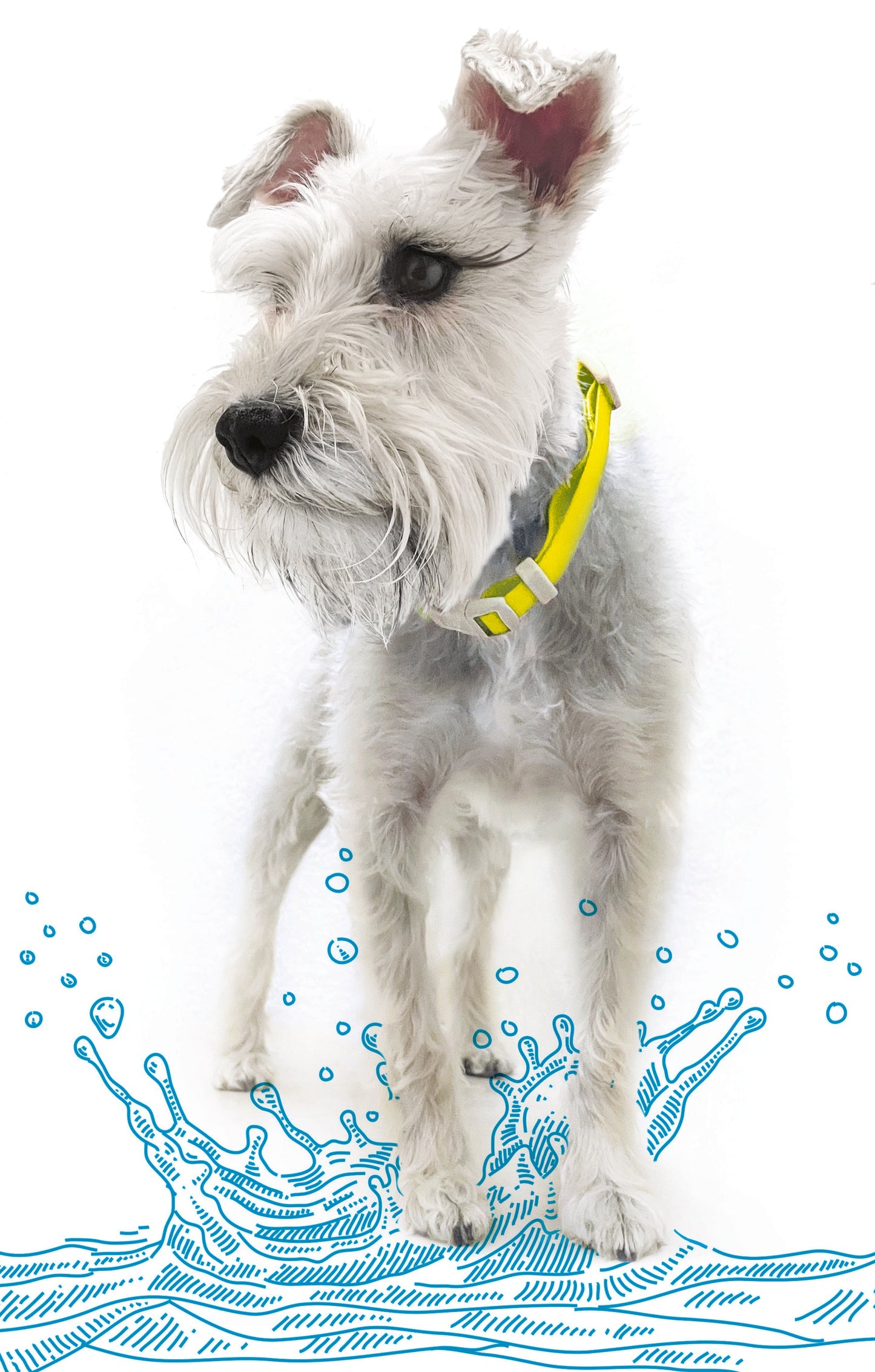 Adjustable Waterproof Collar