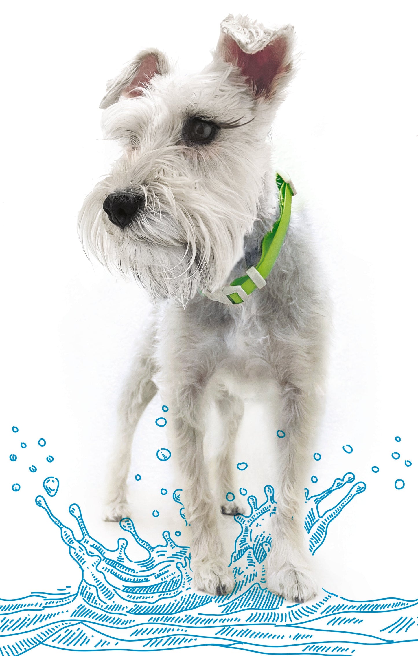 Adjustable Waterproof Collar