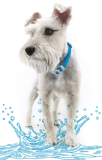 Adjustable Waterproof Collar