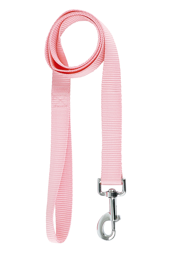 Basic Leash