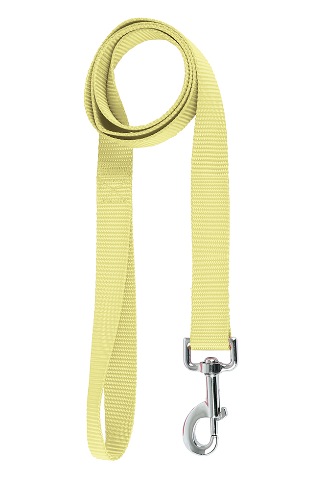 Basic Leash