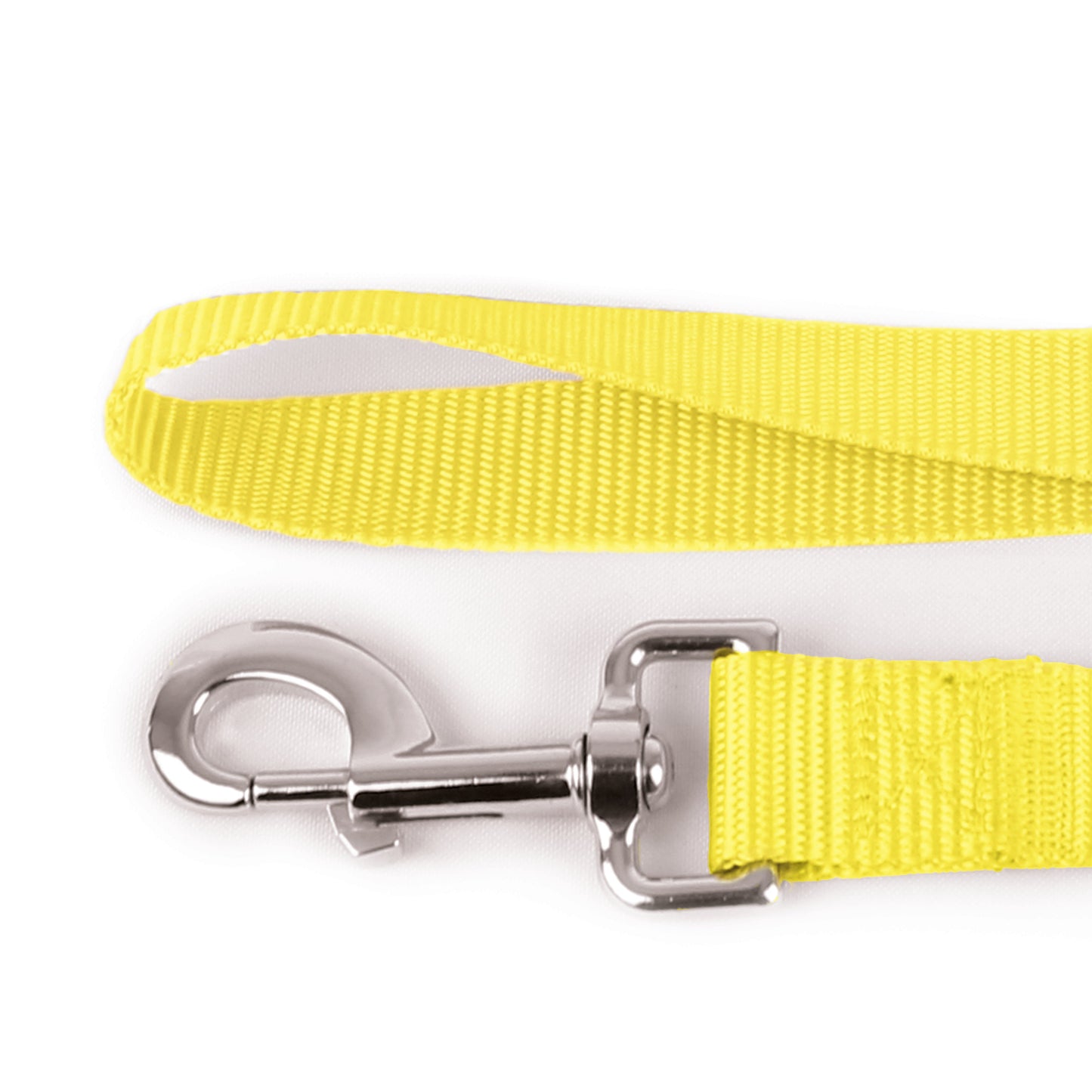 Basic Leash