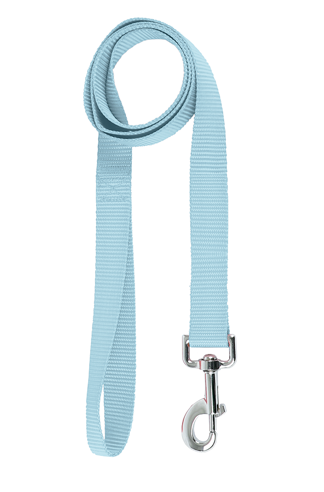 Basic Leash