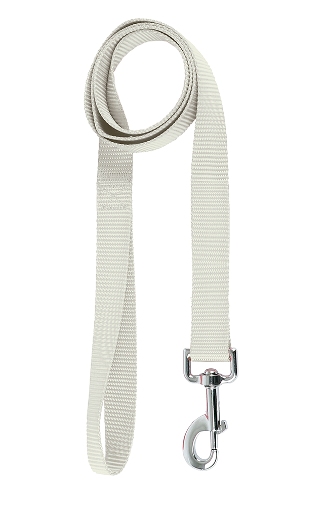 Basic Leash