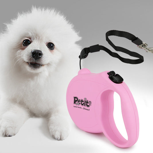 Retractable Leash