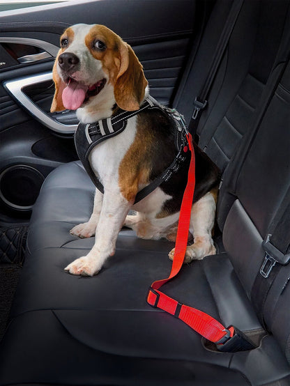 Universal 2-in-1 Safety Belt