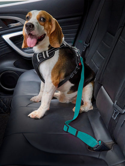 Universal 2-in-1 Safety Belt