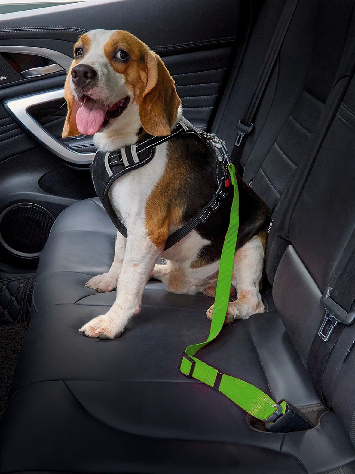 Universal 2-in-1 Safety Belt