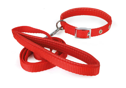 Collar con Correa Suave