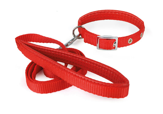 Collar con Correa Suave