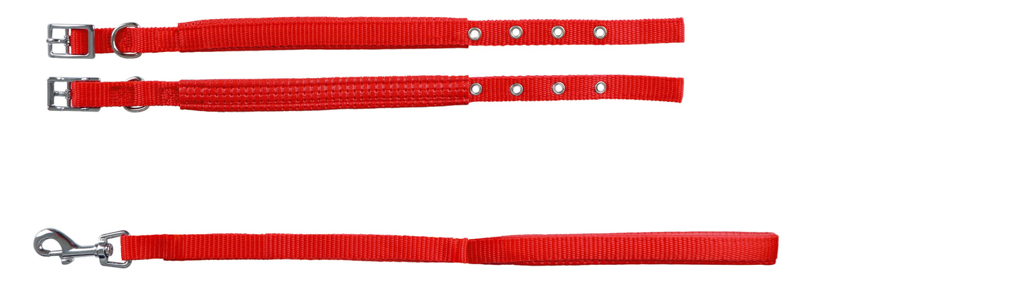 Collar con Correa Suave