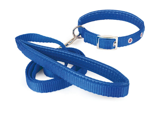 Collar con Correa Suave